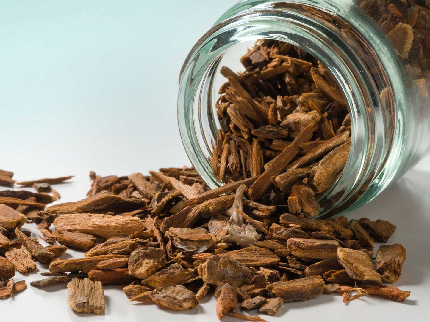 Kínai vörös succirubra kéreg 30g