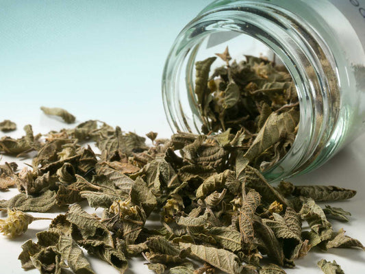 mexikói oregánó 10g